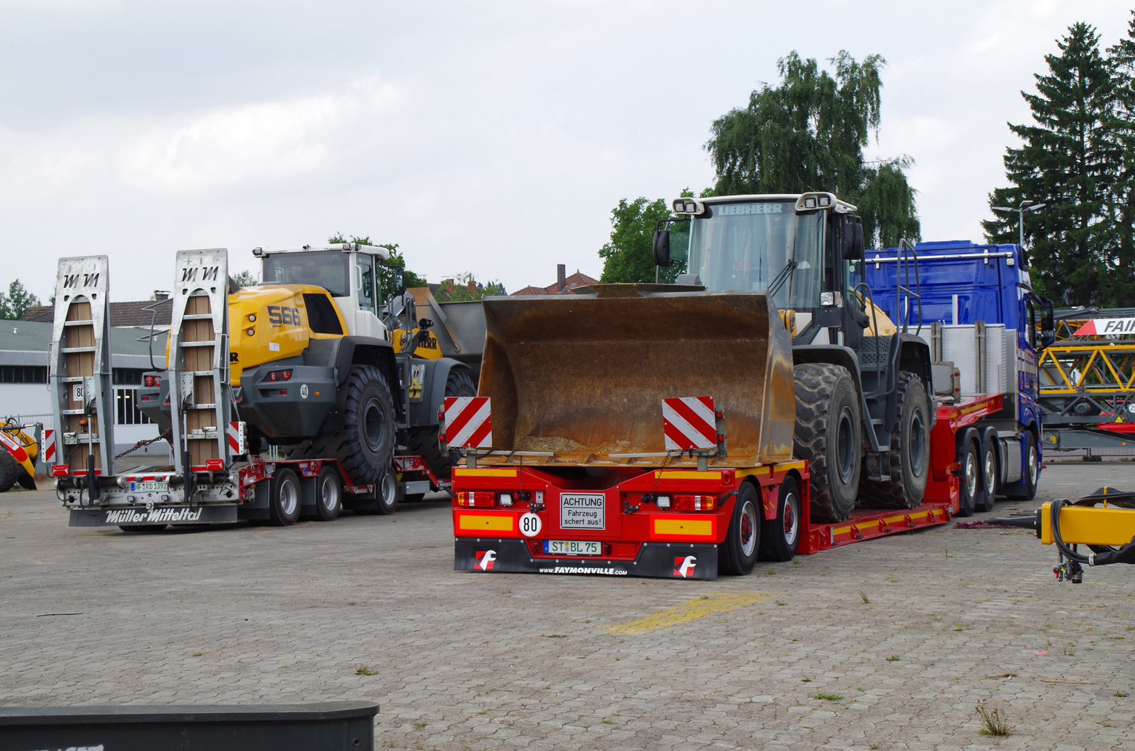 IMGP1363
